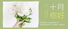 合作經(jīng)營，共負盈虧，原您在最美的季節(jié)，收獲美好，展望未來